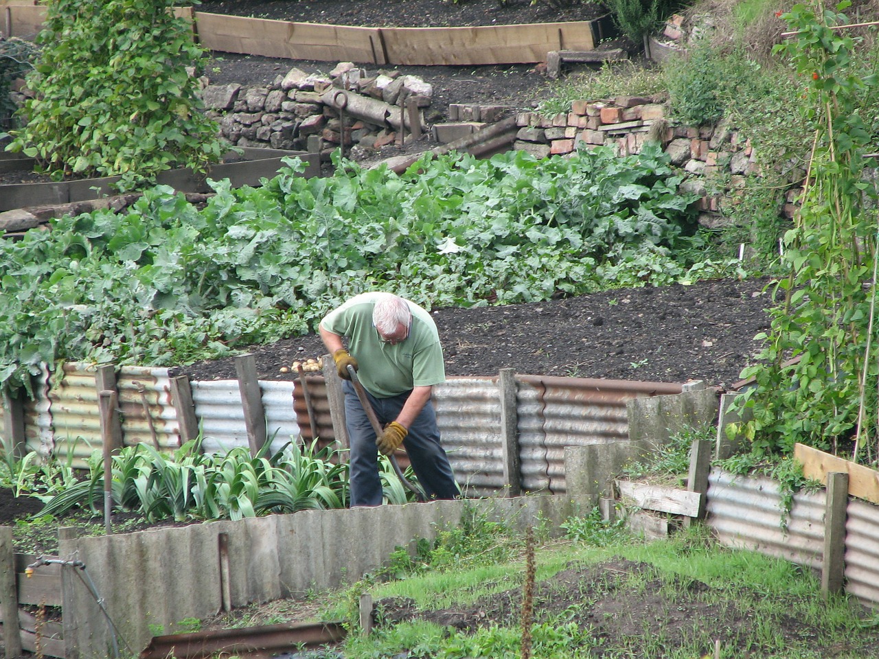 gardening