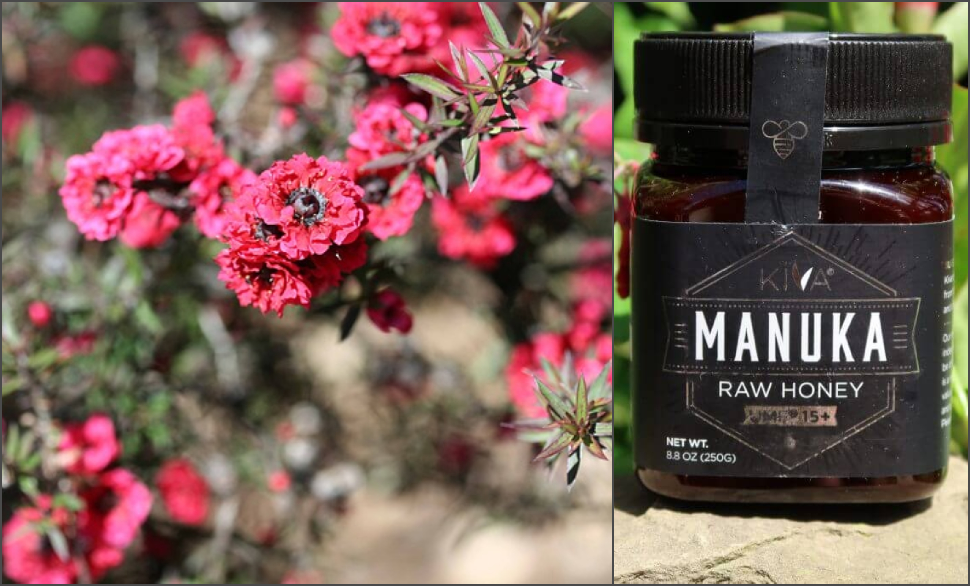 Powerful Benefits Of Manuka Honey