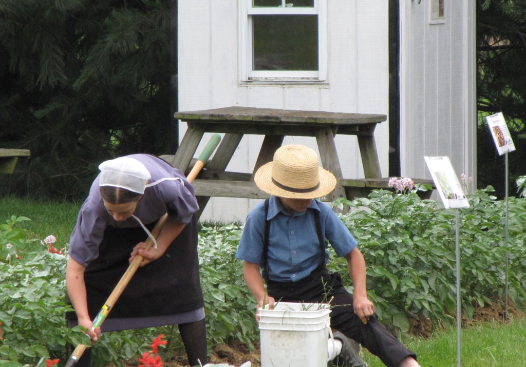 amish