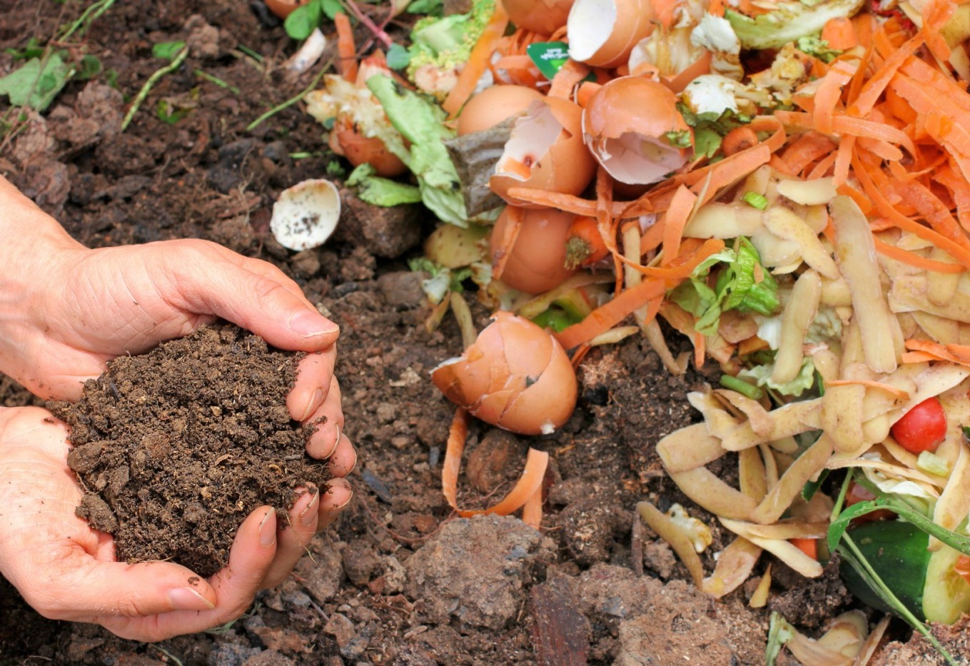 compost