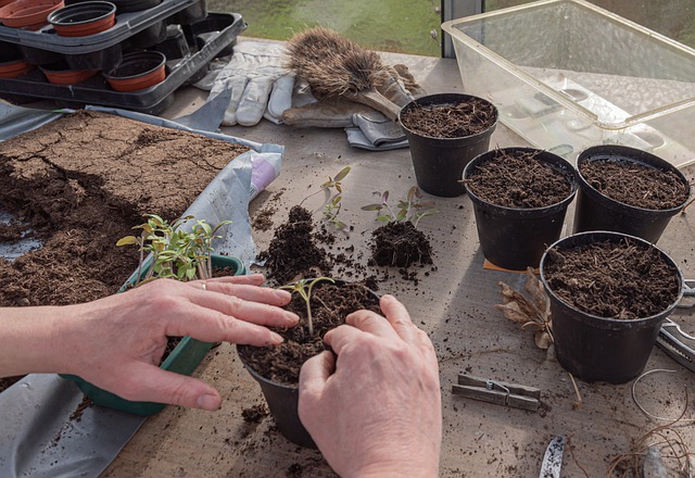 The Difference Between Potting Soil And Potting Mix